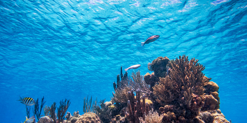 세라믹신소재공학과